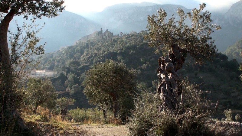 Still 87.jpg - Deia